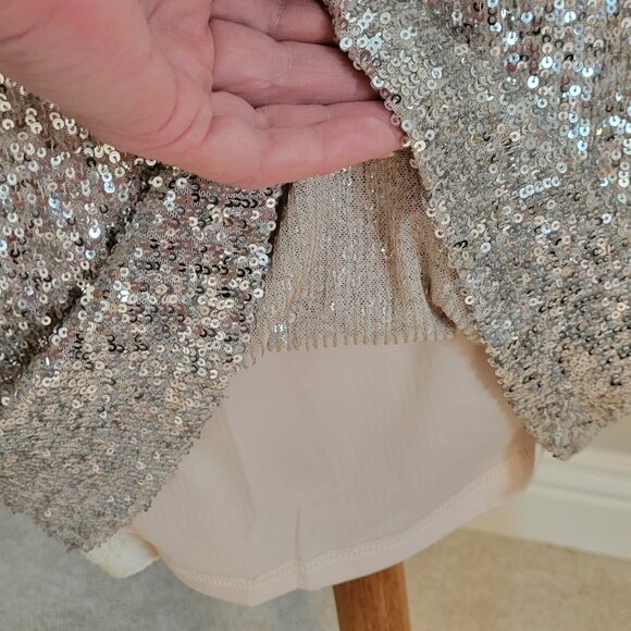 Cable & Gauge NWT Silver Champagne Sequin glittery dress - fabulous! Medium M - Picture 6 of 7